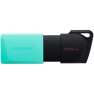 USB Flash-накопитель Kingston 256 GB, USB 3.2.