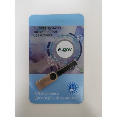 USB Flash-накопитель EGOV