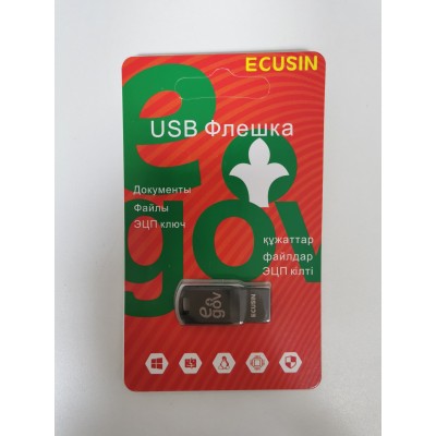 USB Flash-накопитель EGOV